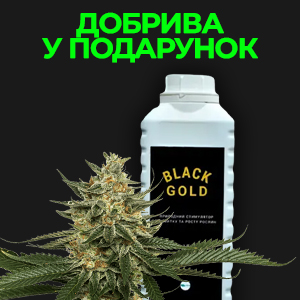 Акція!!!