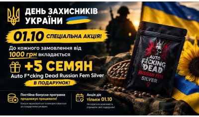 Спеціальна пропозиція від Errors Seeds До Дня захисників і захисниць України!
