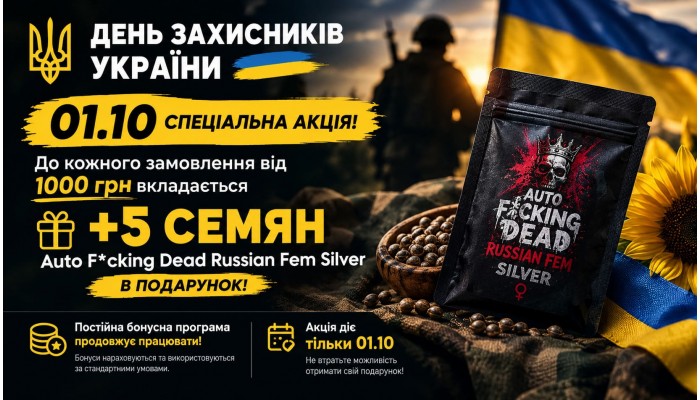 Специальное предложение от Errors Seeds ко Дню защитников и защитниц Украины!