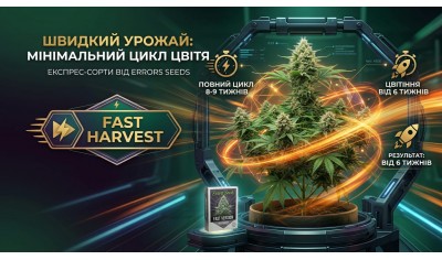 Швидкий урожай: Сорти каннабісу з мінімальним циклом цвітіння