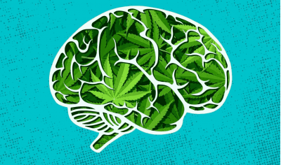 Effects of cannabis on the brain