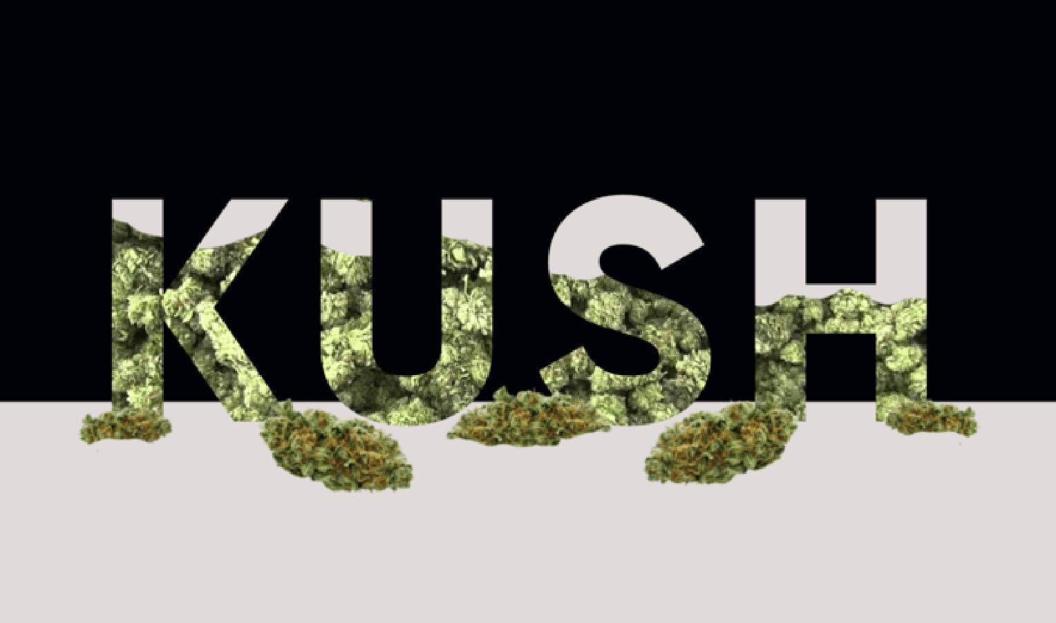 Історія генетики Kush