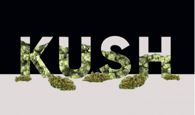 History of Kush genetics