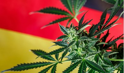 Легалізація з обмеженнями: Канабіс у Німеччині