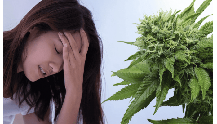 Headache therapy with cannabis