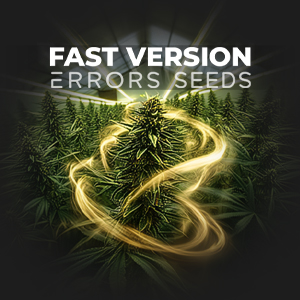 НОВИНКА!!! Насіння коноплі швидкоквітучих (fastflowering) сортів