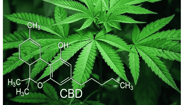 Chemical structure and use of medical cannabis