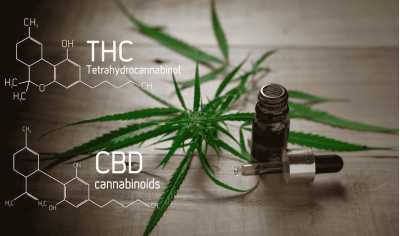 How THC and CBD percentages are measured