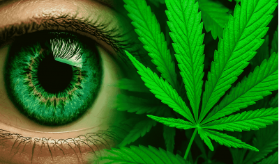 Як канабіс впливає на зір