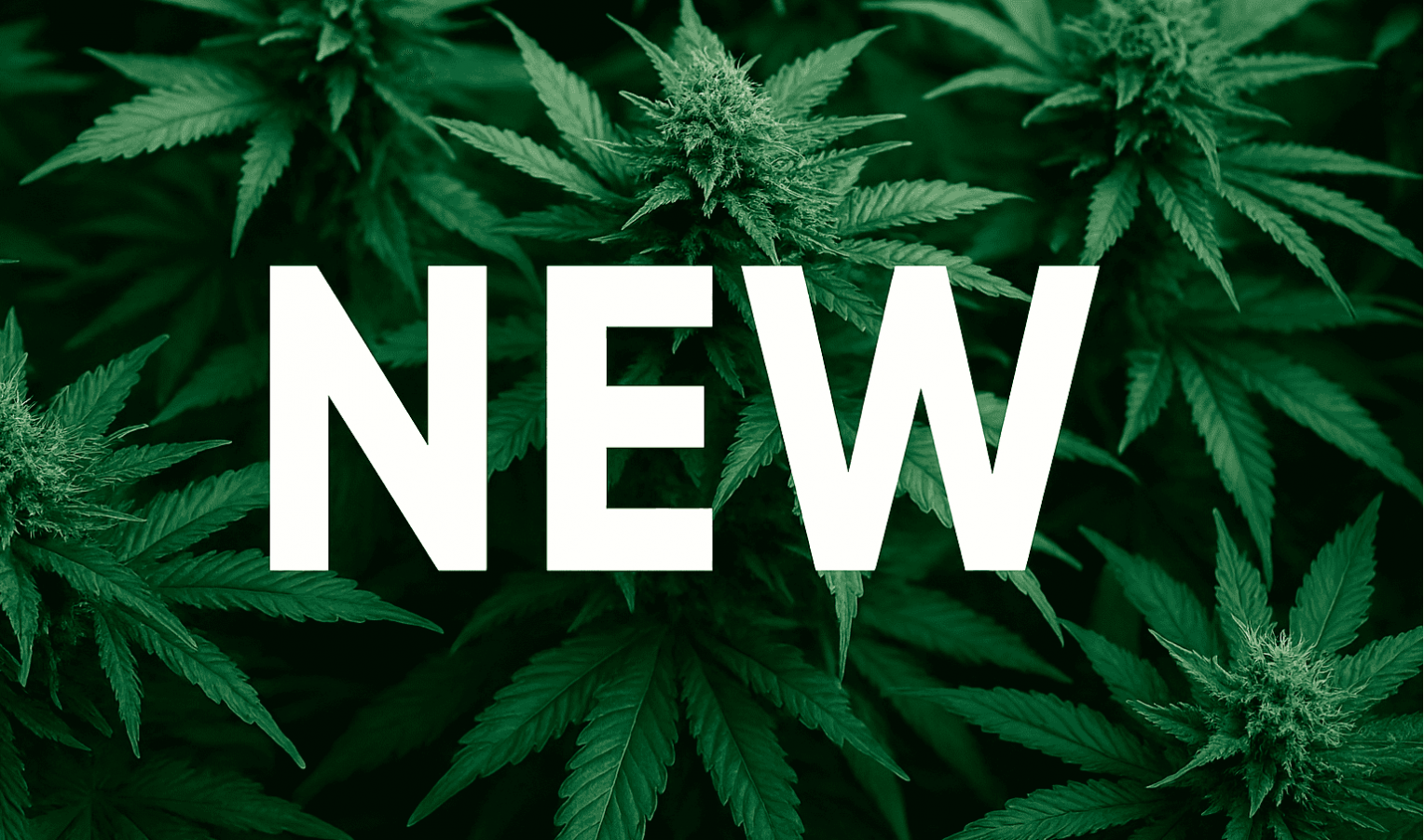 Нові сорти тижня