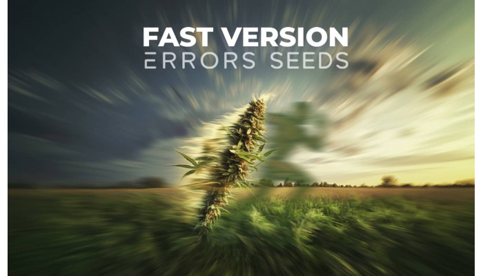 Семена конопли быстроцветущих (fastflowering) сортов: новинка от "Errors Seeds Fast Version"