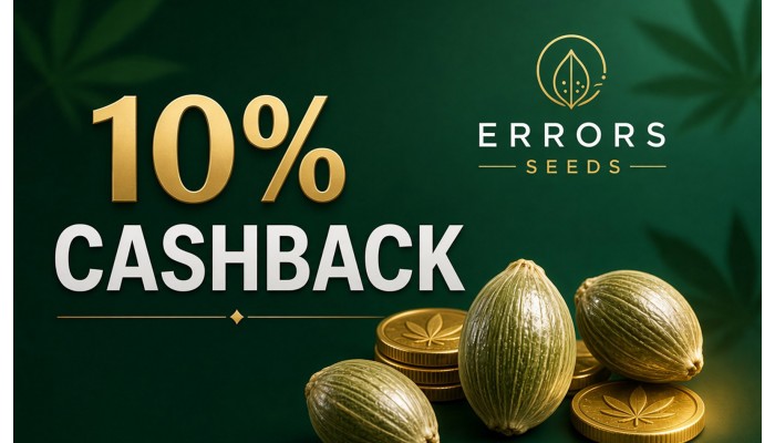 Программа лояльности от Errors Seeds