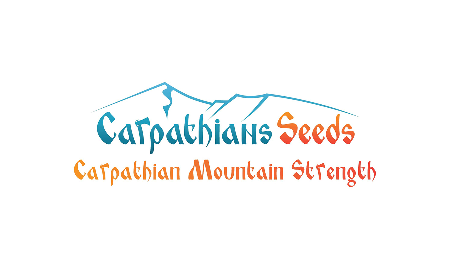 Carpathian Seeds - the power of the Carpathians in every grain!