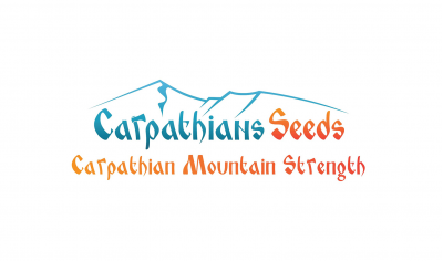 Carpathian Seeds - the power of the Carpathians in every grain!