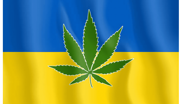 Lawmakers of Ukraine passed a bill on the legalization of medical cannabis