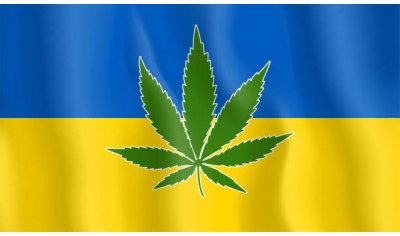 Законодавці України ухвалили законопроект про легалізацію медичного каннабісу