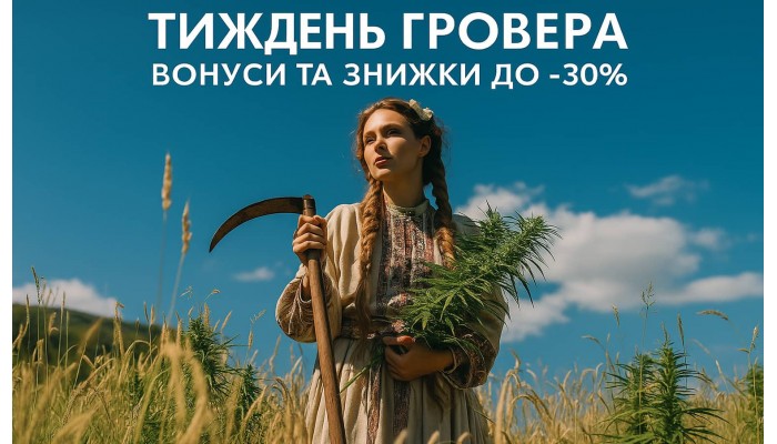 Семена конопли по скидки на День Гровера