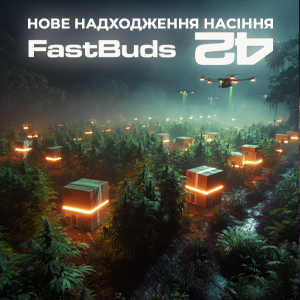 Нове надходження свіжого насіння!