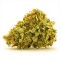 Насіння Cookies Sherbet Feminised Gold