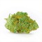 Master Kush Feminised Gold seeds