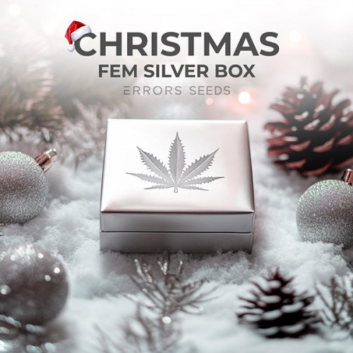Новорічний Fem Silver Box