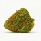 Orange Bud Feminised Gold seeds