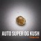 Auto Super OG Kush Feminised