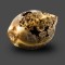 Насіння Auto White Widow Feminised Carpathians Seeds