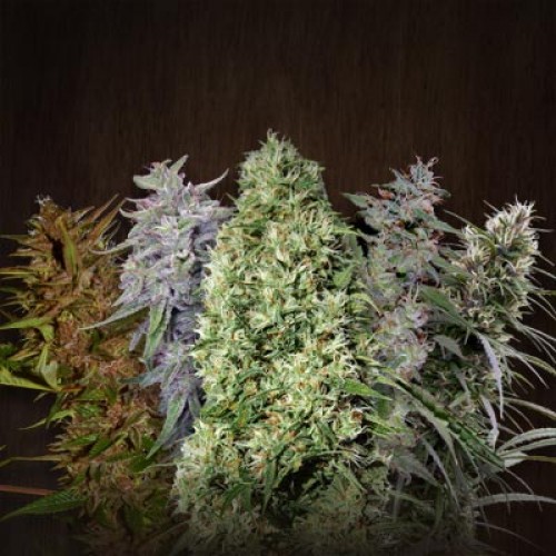 Auto MIX Silver