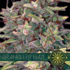 Насіння Brainkiller Haze Feminised