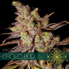 Насіння Choco Bud Feminised