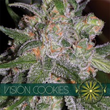 Vision Cookies Feminised