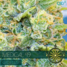 Насіння Medical 49 CBD+ Feminised