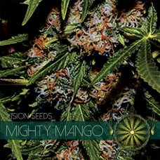 Mighty Mango Bud Feminised