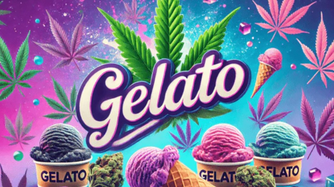 Лист конопли gelato