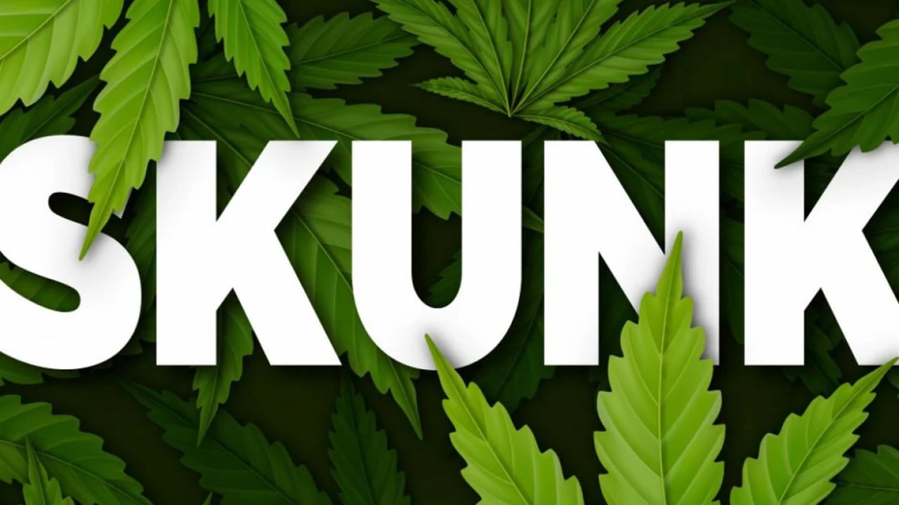 Генетика канабісу Skunk