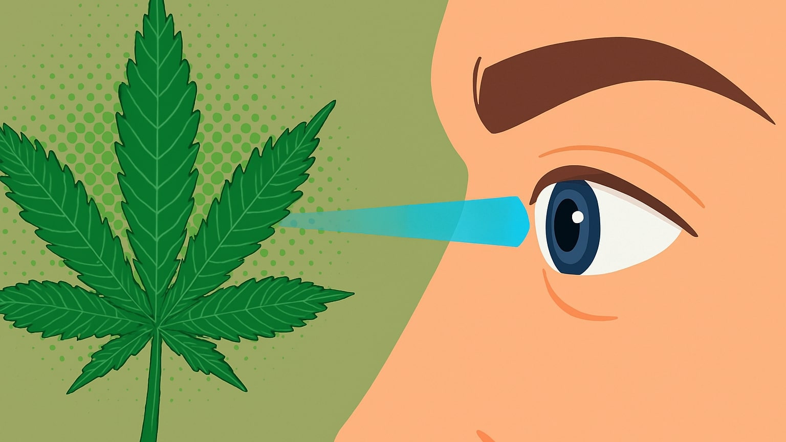 канабіс для зору насіння ганжі