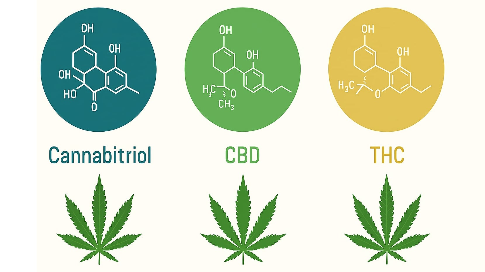 насіння ганжі