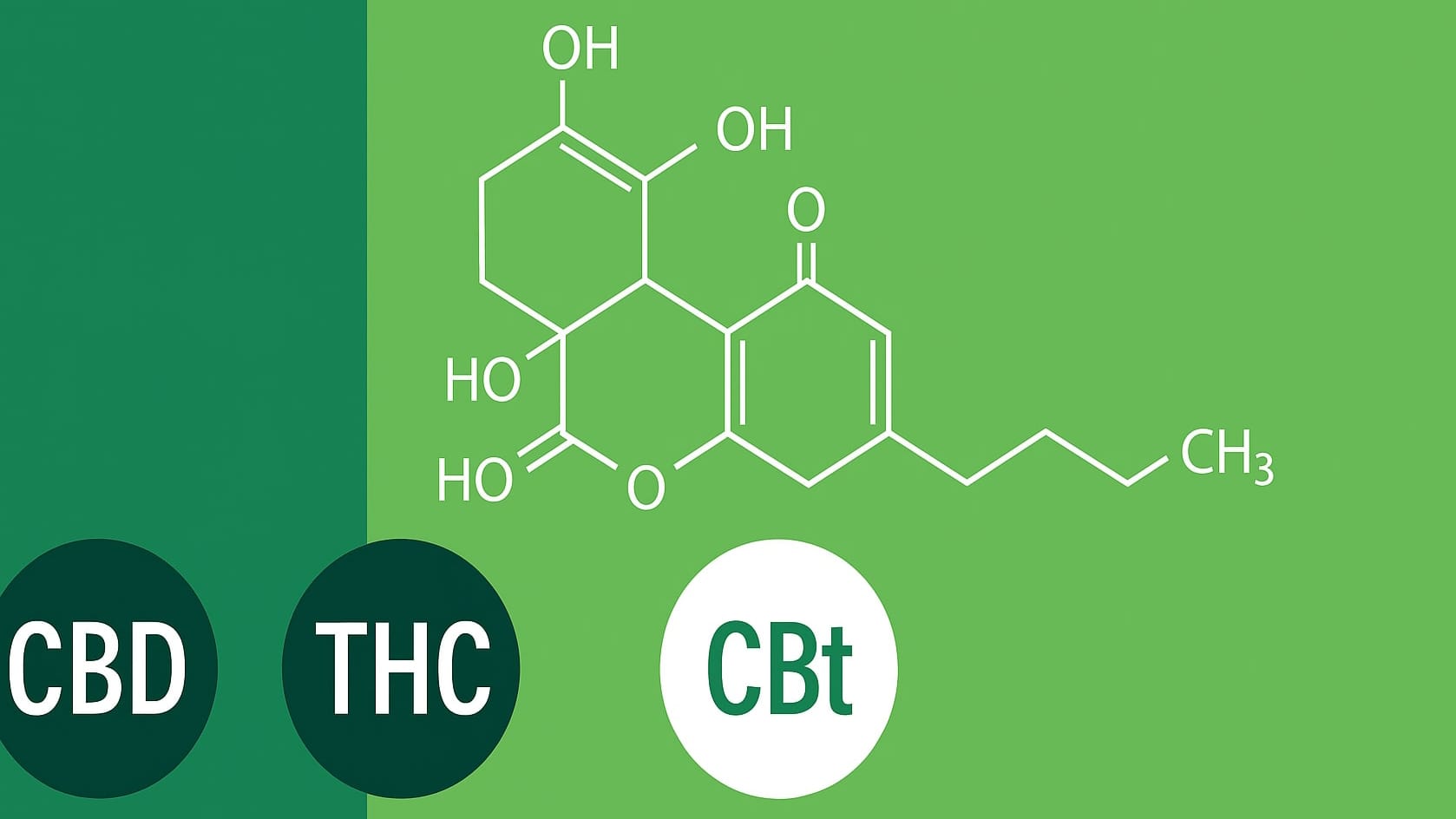 насіння коноплі