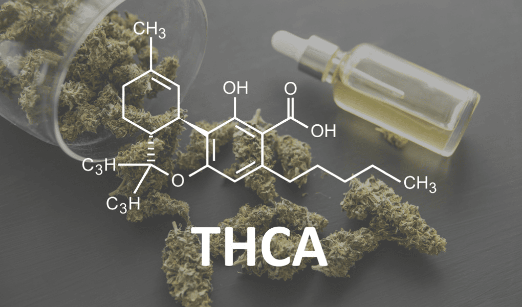 Формула THC на фоні шишок та масла коноплі