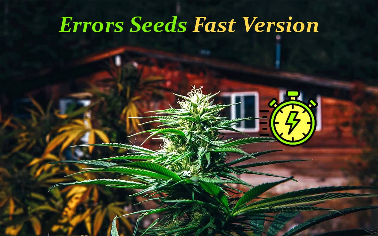 Купити насіння коноплі швидкоквітучих сортів Errors Seeds Fast Version