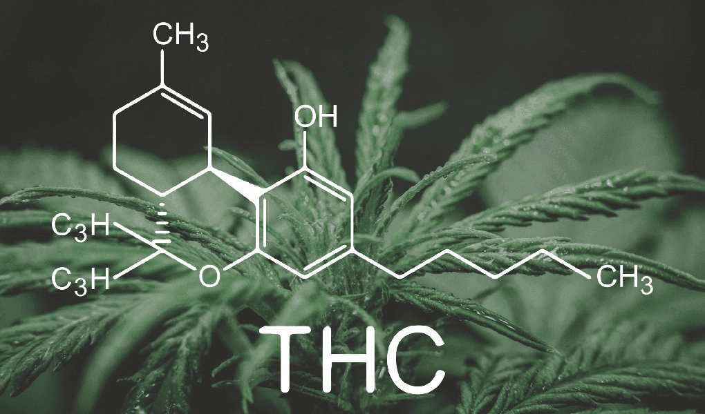 Формула THC на фоні коноплі